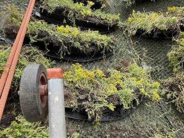Réfection d'une toiture verte inclinée sur un dôme géodésique