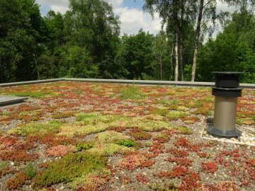 Toiture Végétale dans le Brabant Wallon