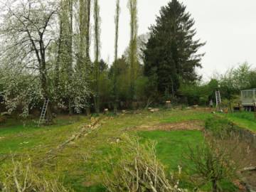 Abattage d'arbres en région Hutoise