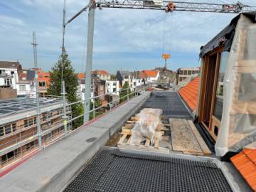 Toiture Verte à Bruxelles