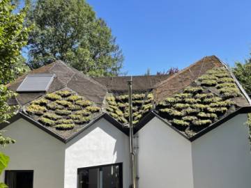 Réfection d'une toiture verte inclinée sur un dôme géodésique