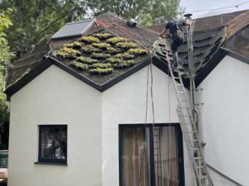 Réfection d'une toiture verte inclinée sur un dôme géodésique
