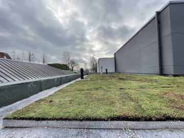 Toiture verte à Namur