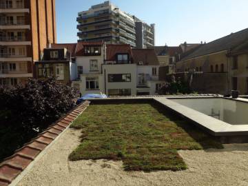 Toiture Végétale à Bruxelles centre-ville