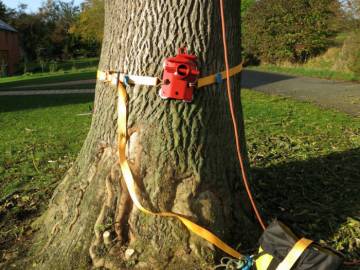 Photos de nos démontages d'arbres