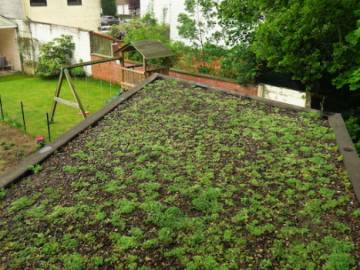 Toiture Végétale à Woluwe Saint Lambert