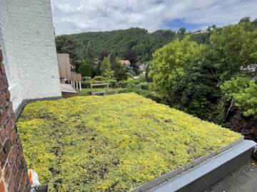 Toiture verte légère à Tilff