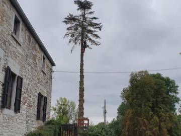 Photos de nos démontages d'arbres