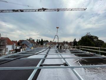 Toiture Verte à Bruxelles