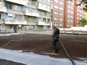 Toiture Jardin à Bruxelles