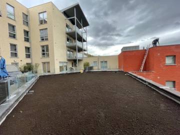 Toiture verte réalisée sur un bâtiment à appartements à Liège