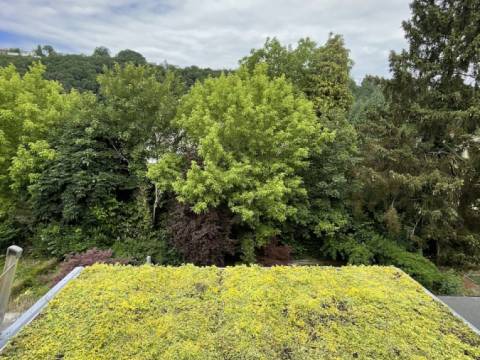 Toiture verte légère à Tilff