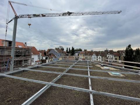 Toiture Verte à Bruxelles