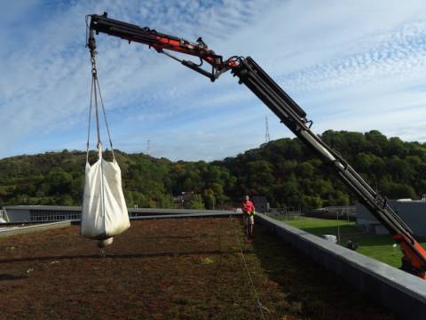 Réfection d'une toiture verte