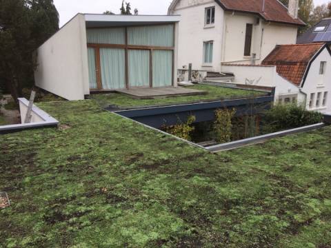 Toiture Végétale Légère à Uccle