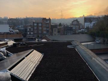 Toiture Verte à Liège