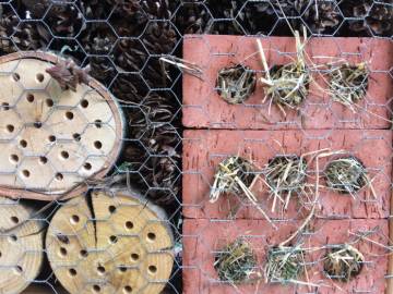 Réalisation d'abris à insectes