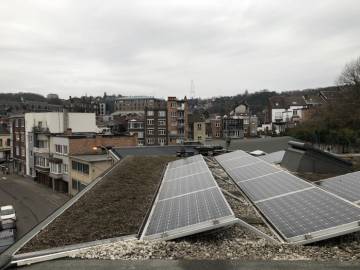 Toiture Verte à Liège