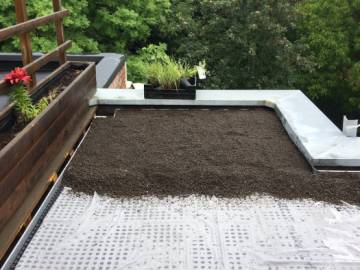 Toiture verte à Uccle