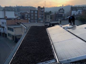 Toiture Verte à Liège