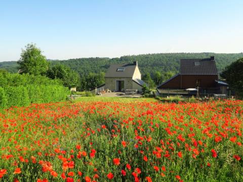 Réalisation d'une prairie fleurie en région Hutoise