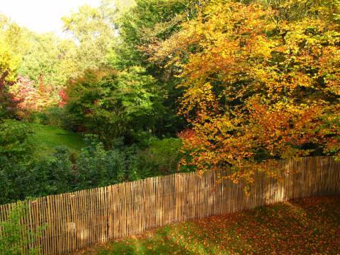 Clôtures, portails et palissades en bois