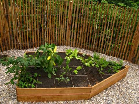 Constructions en bois